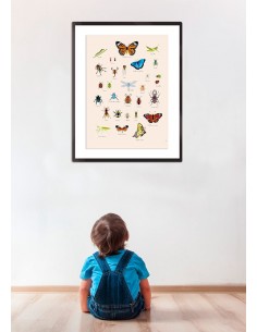 Poster enfant,Poster Géant plastifié: Insectes 2