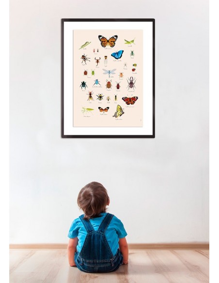 Poster enfant,Poster Géant plastifié: Insectes
