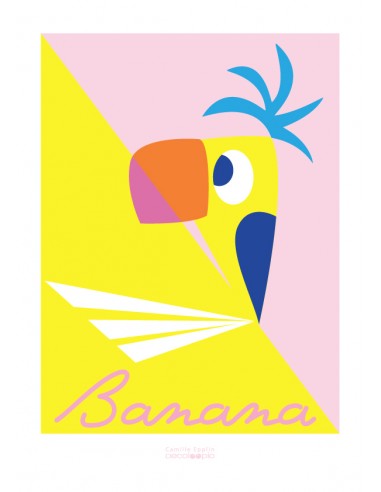 Poster enfant,Kit 4 affiches - Pioupiou Fruit Poster enfant,Kit 4 affiches - Pioupiou Fruit