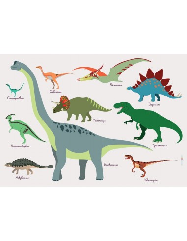 Set de table,Set De Table Enfant: Dinosaures