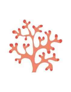 Stickers de la Mer,Stickers muraux de la Mer Corail