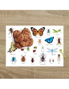 Set de table,Set De Table Enfant: Insectes 2