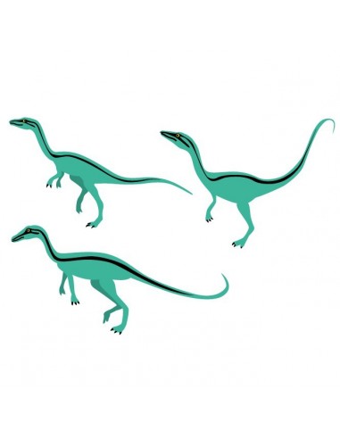 Stickers Dinosaures,Stickers enfant: 3 compsognathus