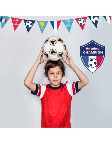 Stickers Sport,Sticker Foot: Fanions France Stickers Sport,Sticker Foot: Fanions France