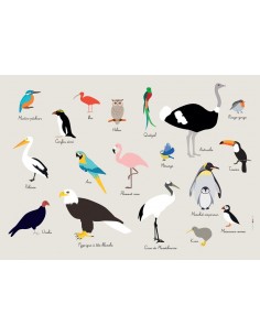 Set de table,Set De Table Enfant: Oiseaux