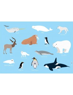 Set de table,Set De Table Enfant: Animaux polaires